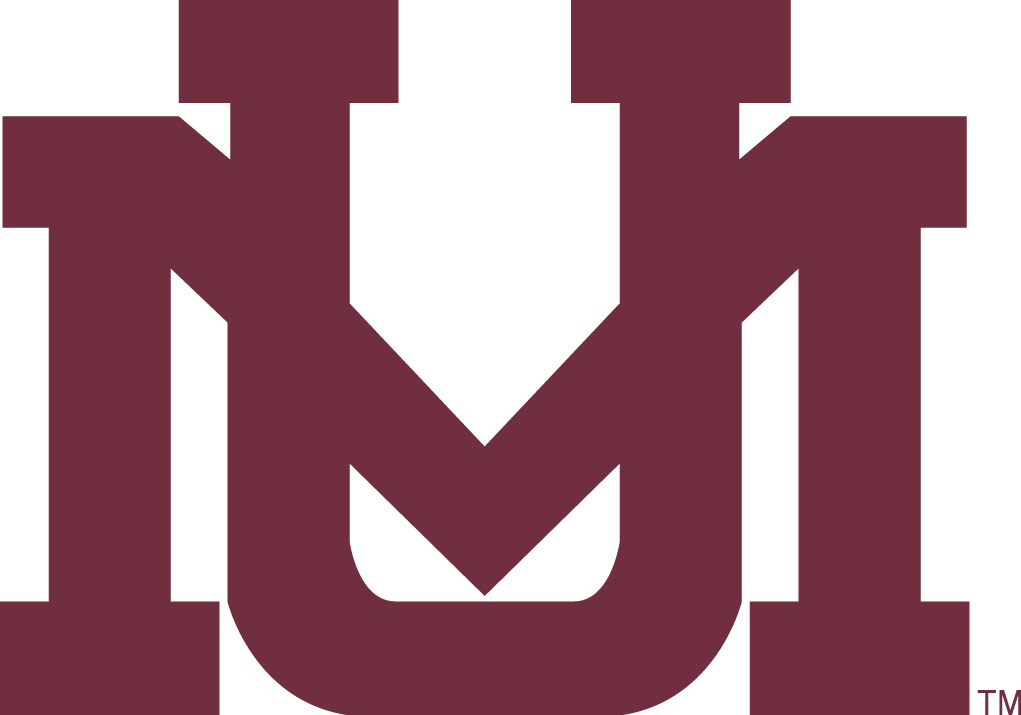 Montana Grizzlies 1996-Pres Secondary Logo v3 iron on transfers for T-shirts